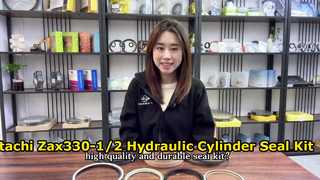 Perdite riparate del kit di guarnizioni del cilindro idraulico dell'escavatore Hitachi Zax330-1/2