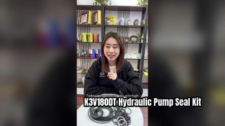 K3V180DT Kit di tenuta della pompa idraulica