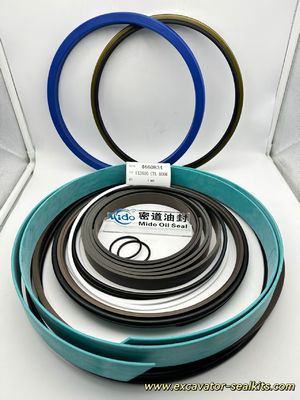4660834 Kit guarnizioni cilindro BRACCIO EX3600 CYL | Tenute idrauliche premium per la riparazione del braccio dell'escavatore