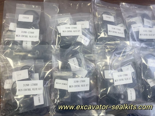 Kit di tenuta idraulica dell'olio dell'escavatore 31N8-17000 Kit di valvola di controllo principale resistente alle alte temperature