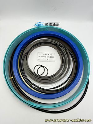 4660834 Kit guarnizioni cilindro BRACCIO EX3600 CYL | Tenute idrauliche premium per la riparazione del braccio dell'escavatore
